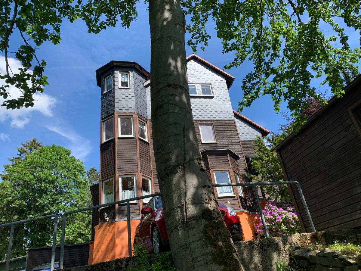 Haus Am Kurpark Apartment Clausthal-Zellerfeld Luaran gambar