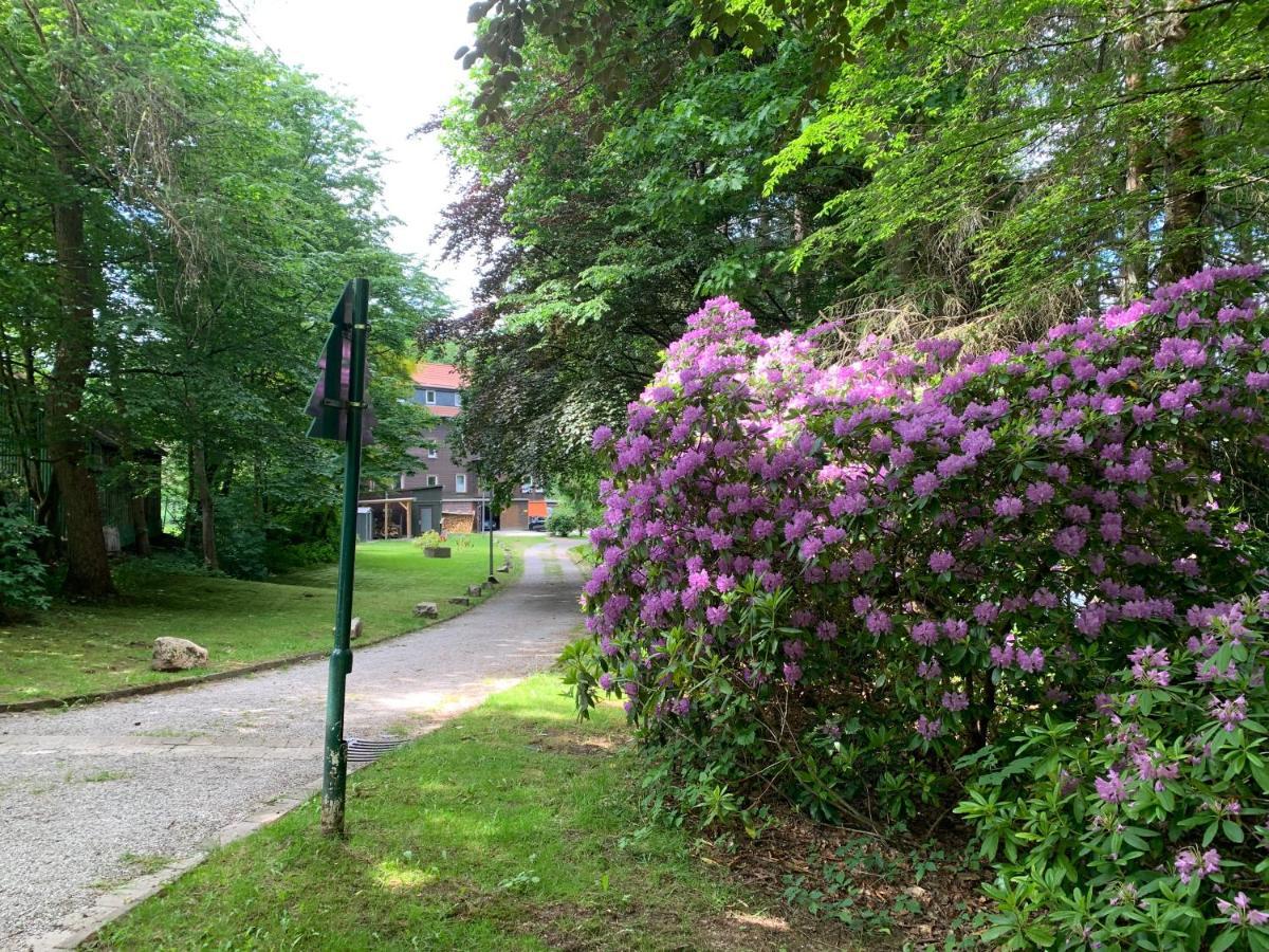 Haus Am Kurpark Apartment Clausthal-Zellerfeld Luaran gambar