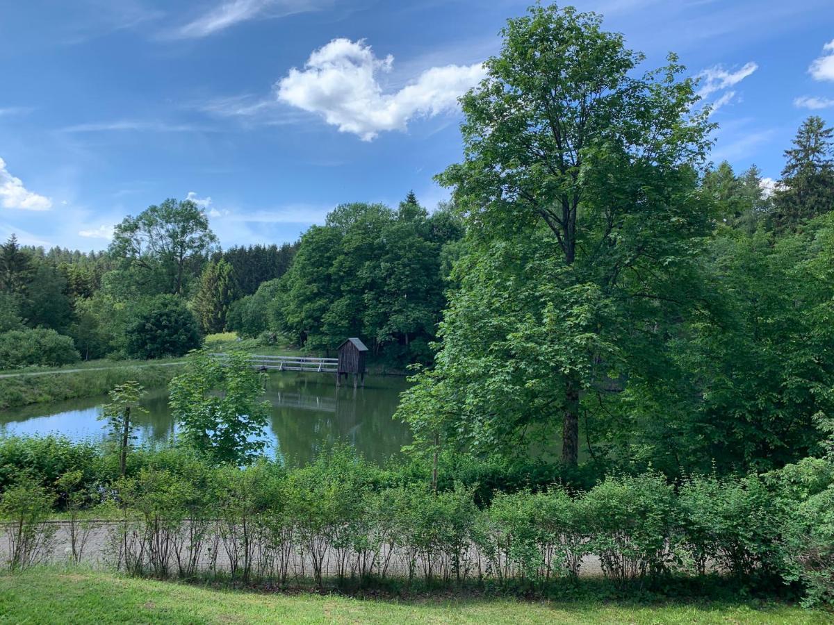 Haus Am Kurpark Apartment Clausthal-Zellerfeld Luaran gambar